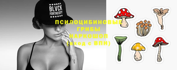 прущая мука Надым