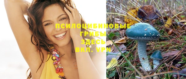 прущая мука Нефтегорск