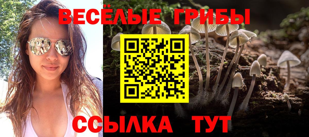 Донецк  Галлюциногенные грибы прущие грибы  Вход с VPN 
