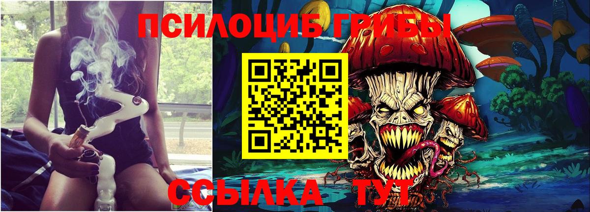 Псилоцибиновые грибы MAGIC MUSHROOMS Донецк